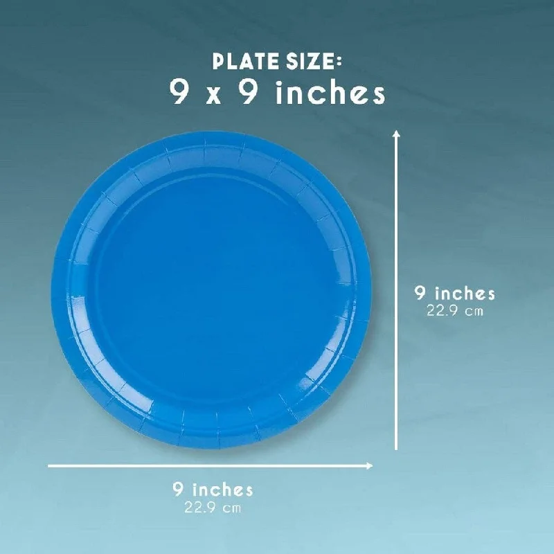 reusable bamboo plates for kids -80-Count Disposable Paper Plates, For Appetizer, Lunch, Dinner, Blue, 9 x 9 inches