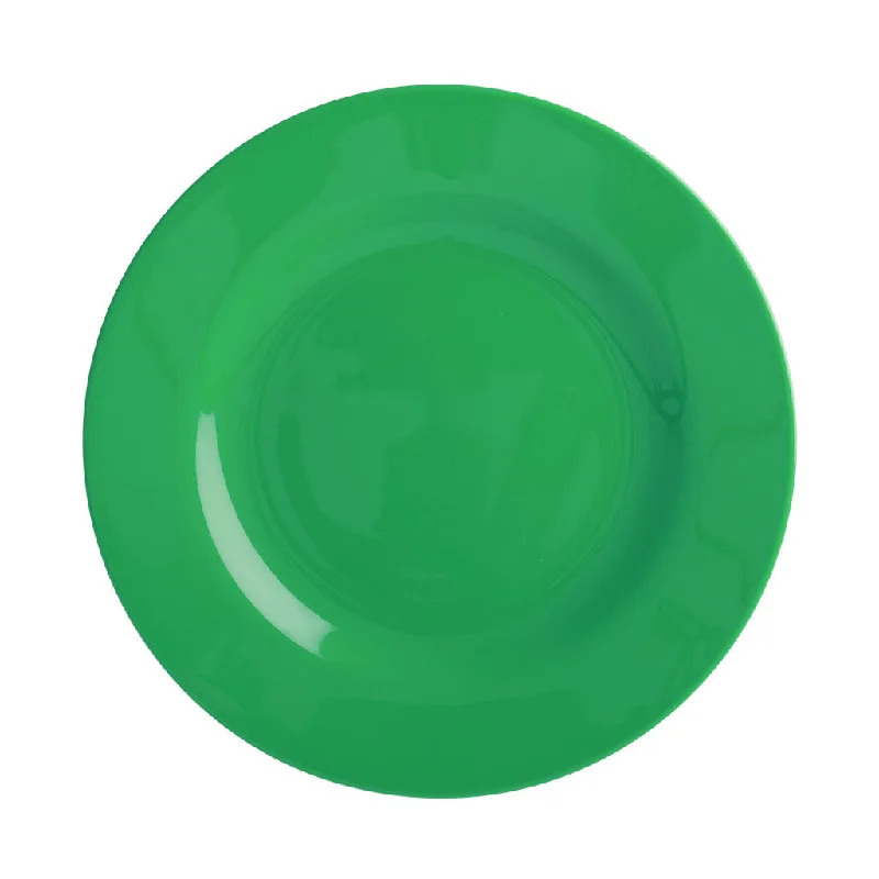 stylish reusable plates -Rice DK Melamine Side Plate in Forest Green