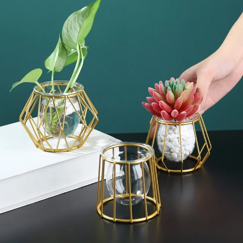 handmade artistic flower vase for display -Golden Hydroponic Glass Geometric Flower Plant Vase