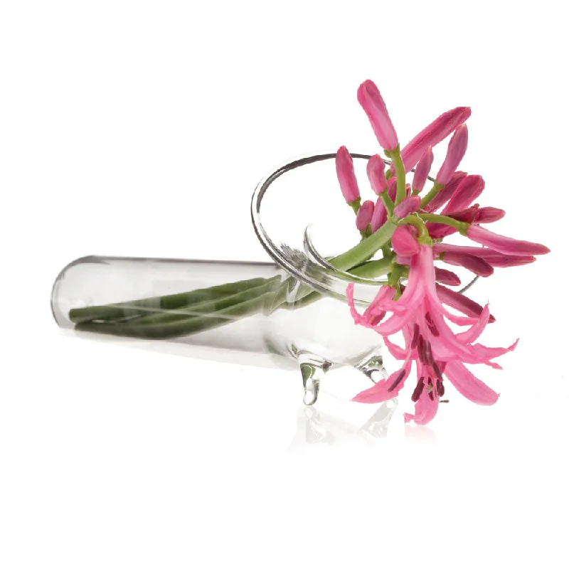 crystal clear geometric flower vase -Test Tube Glass Modern Clear Flower Vase