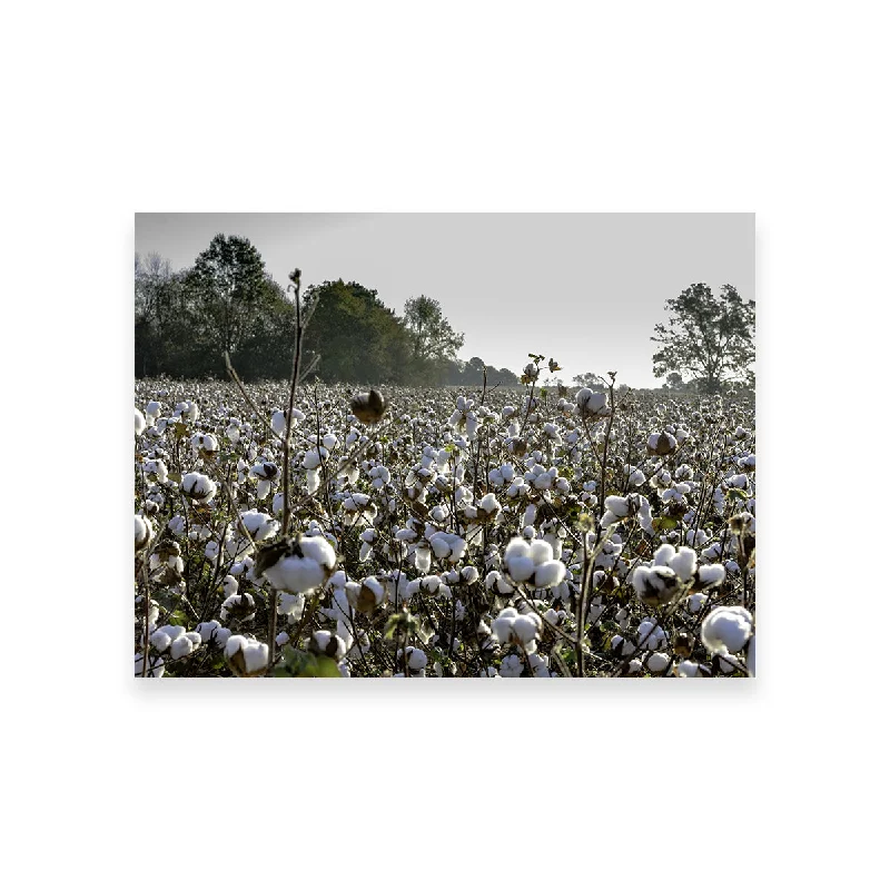 minimalist modern art paintings-Alabama Cotton Field