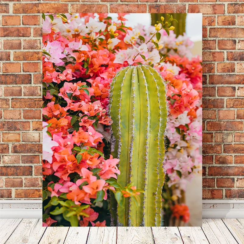 framed canvas decorative paintings-Cactus & Flowers