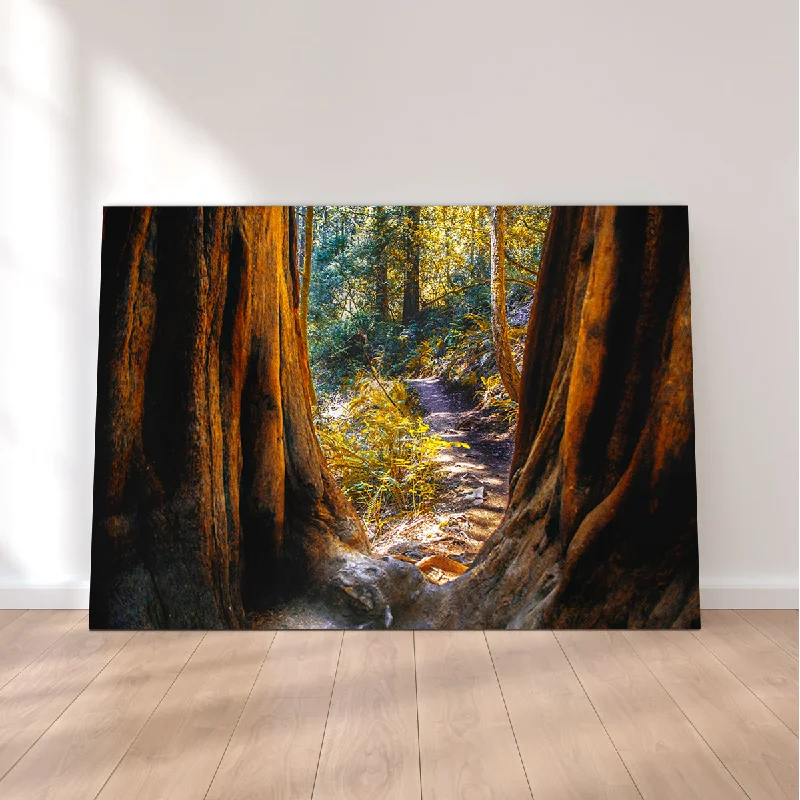 modern wall floral decorative paintings-Muir Woods