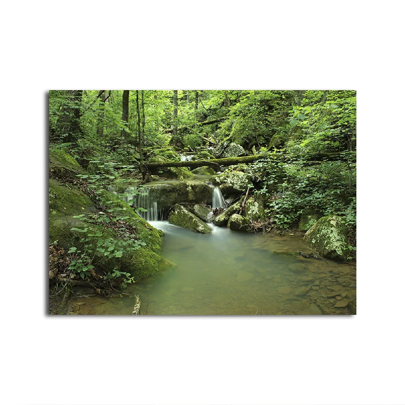 luxury wall art decorative paintings-Ozark National Forest