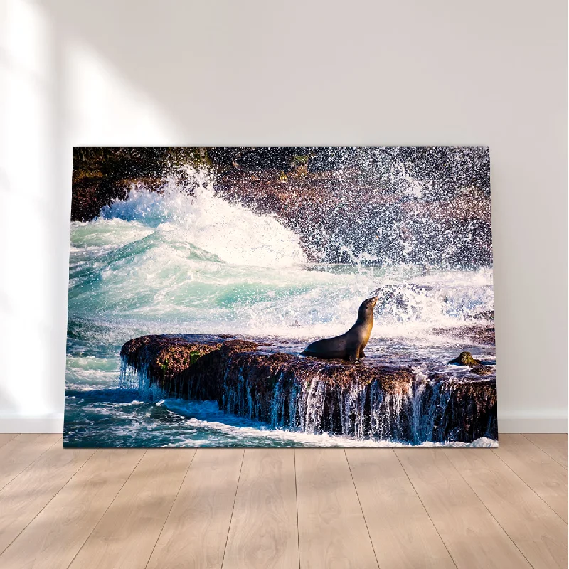 geometric art wall paintings-Sea Lion Surf La Jolla