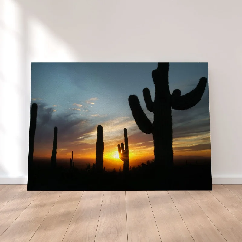 contemporary geometric wall canvas paintings-Sonoran Desert Sunset