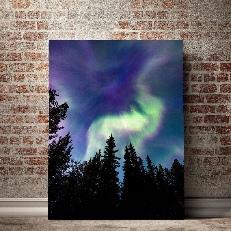 outdoor nature decorative paintings-Up in the Sky